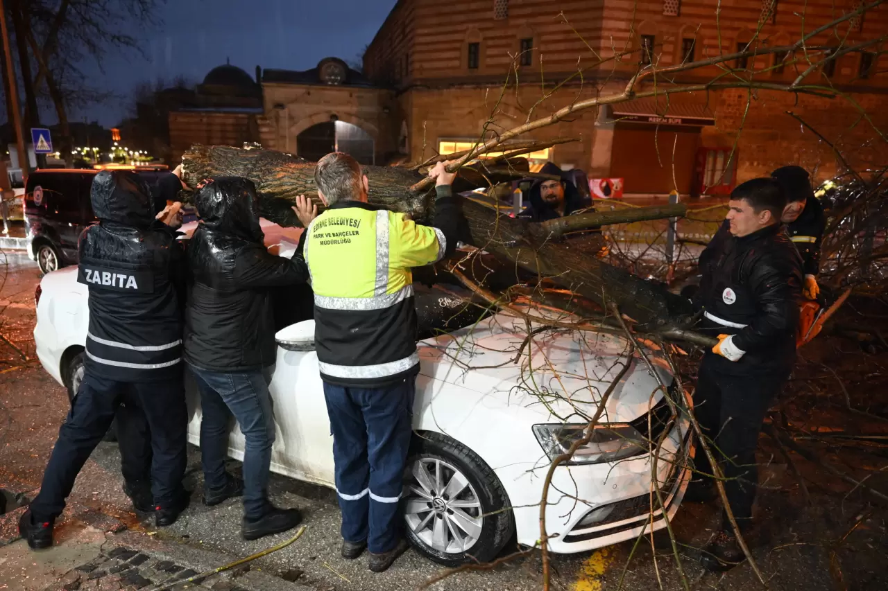 Edirne'de fırtına otomobilin üzerine ağaç devirdi 5