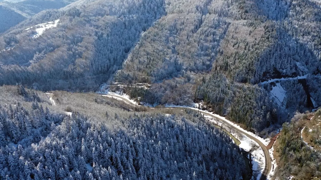 PAN Parks Sertifikalı milli park beyaz örtüyle kaplandı! 3