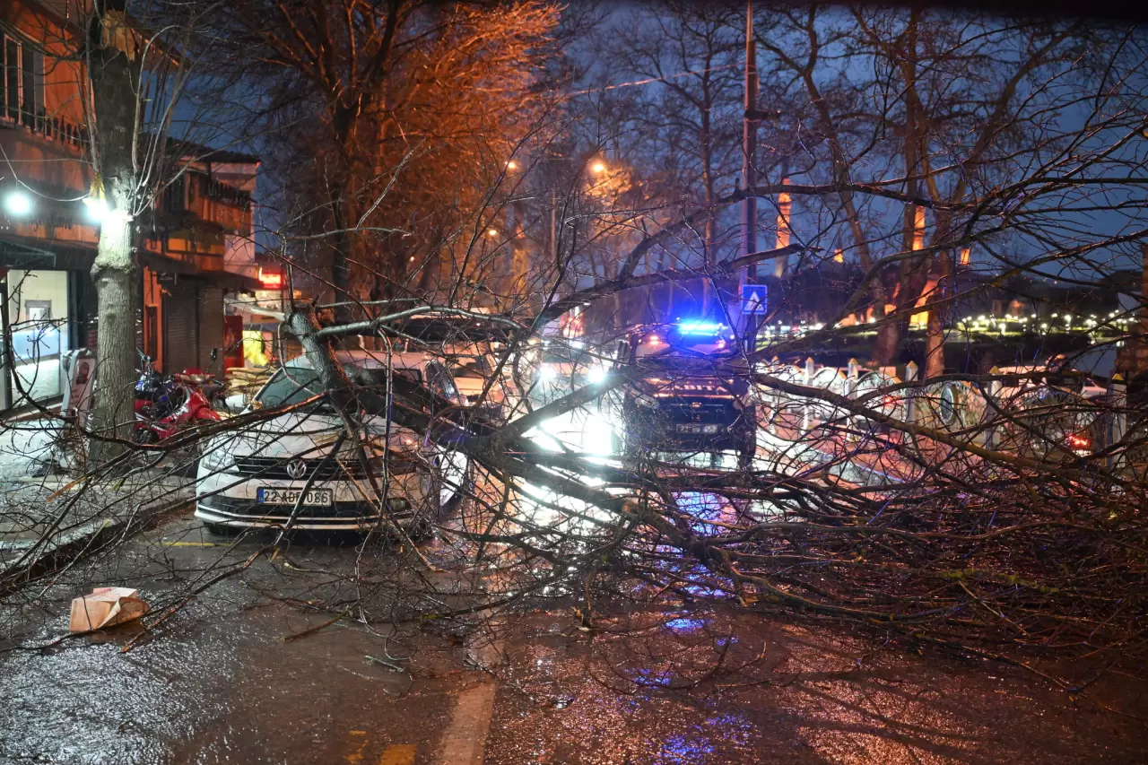 Edirne'de fırtına otomobilin üzerine ağaç devirdi 2
