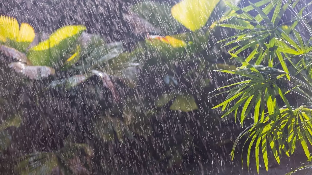 İstanbullular dikkat: Yağmur ve sert rüzgar geliyor! Marmara için kuvvetli yağış uyarısı 3