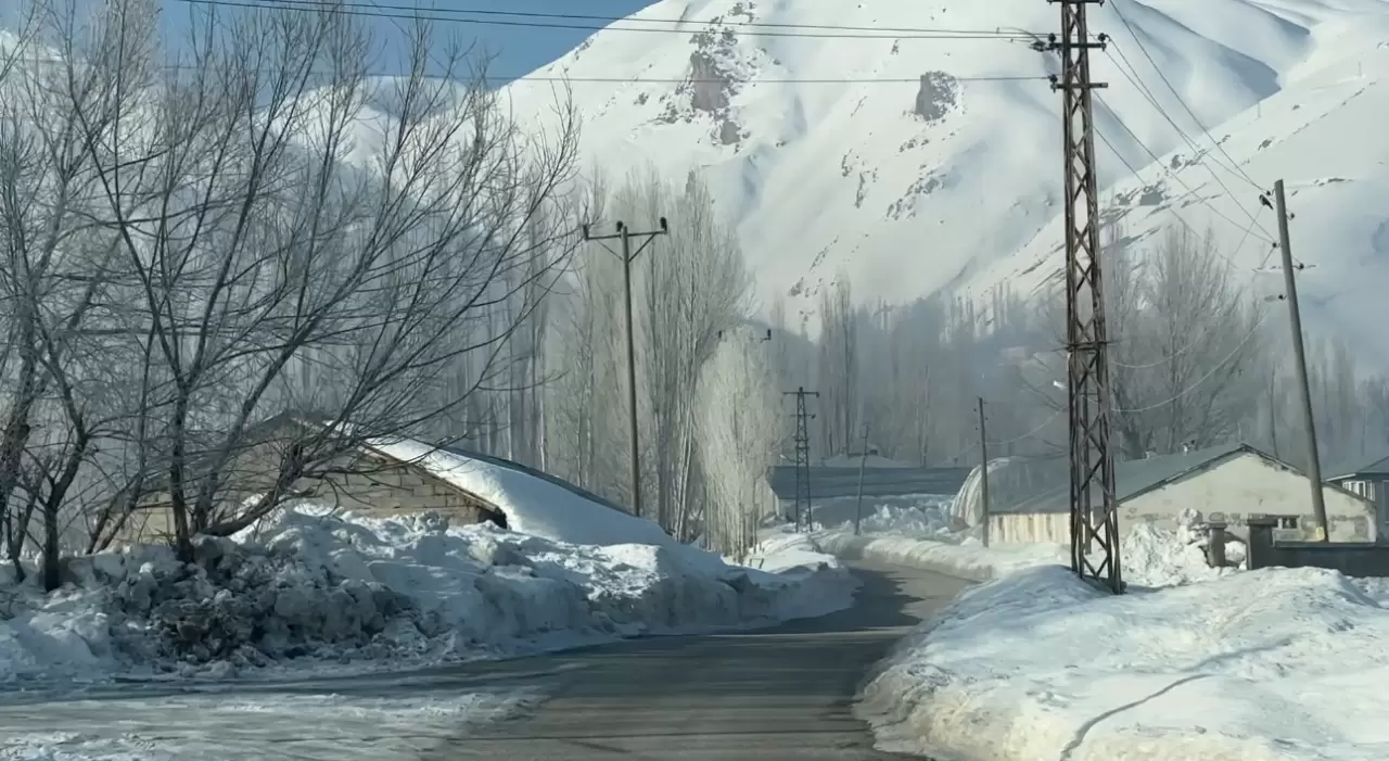 Ekipler ahır ahır gezip aşılama yapıyor! 4