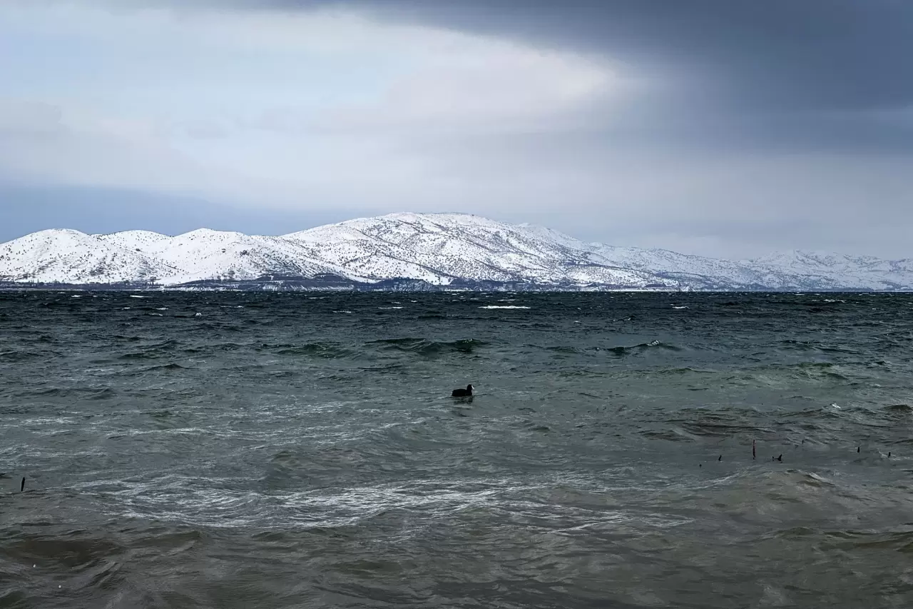 Hazar Gölü'nde kış masalı: Sivrice'de karla kaplı manzaranın keyfini çıkarın 7