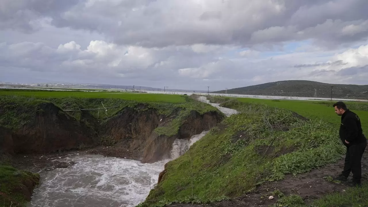 Tarlalar sular altında kaldı, çiftçi bayram etti! 13