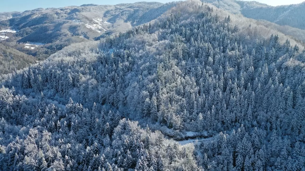 PAN Parks Sertifikalı milli park beyaz örtüyle kaplandı! 4