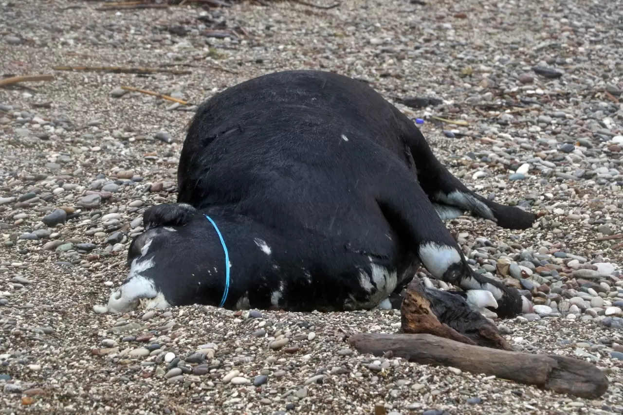 Antalya Valiliği’nden şiddetli sağanak ve fırtına kararı 1