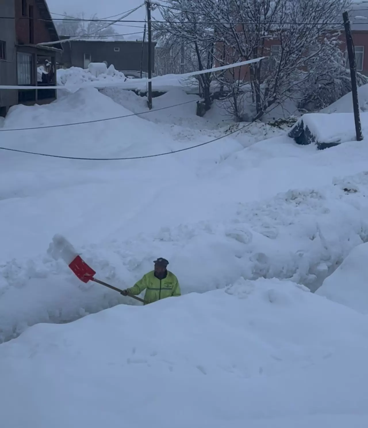 Tunceli'de kar kalınlığı 1,5 metreyi geçti! İnekler gözden kayboldu 2