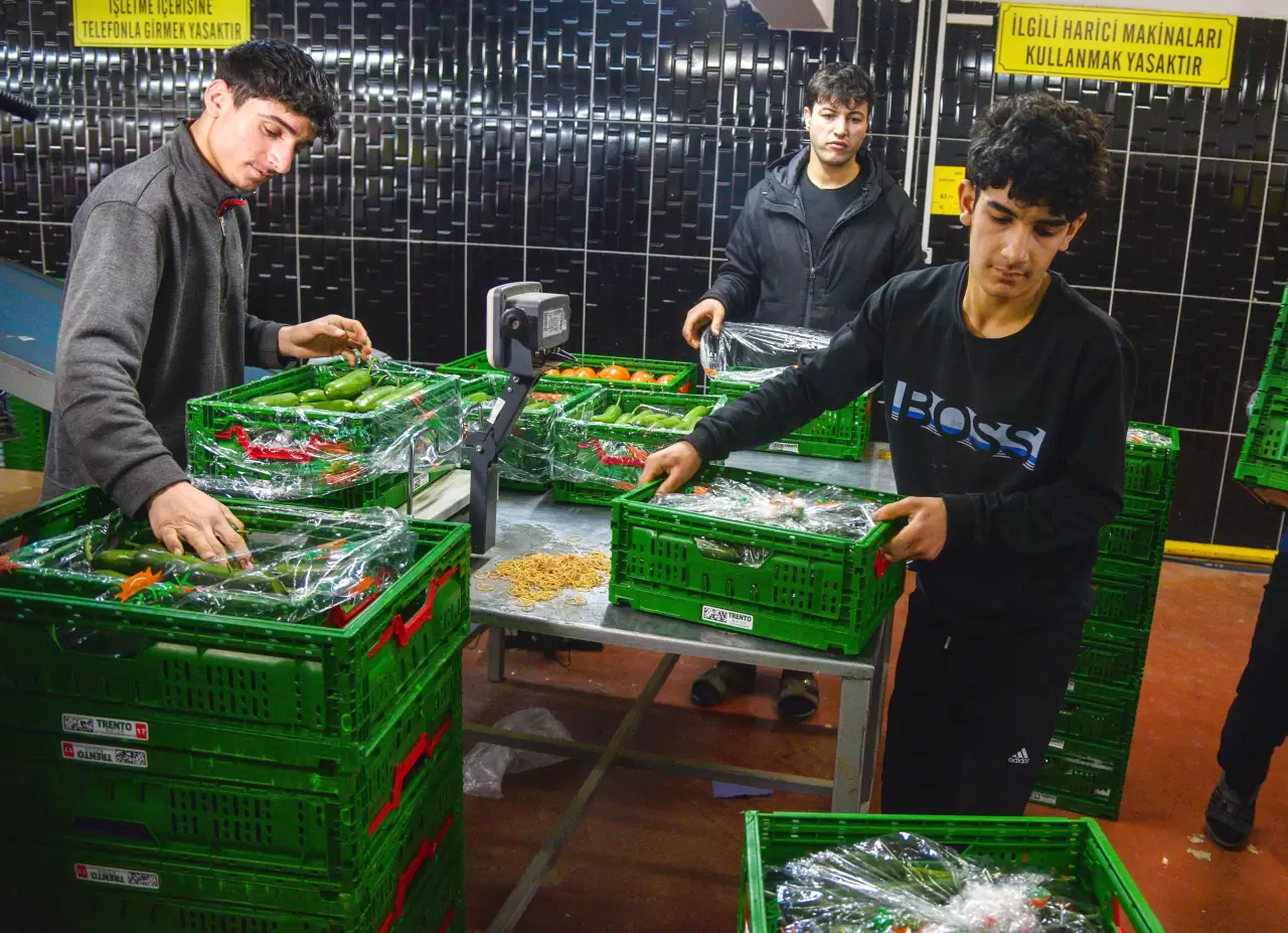 Rusya'nın sebze rotası değişti! İran’daki kriz Türkiye ihracatını artırdı 5