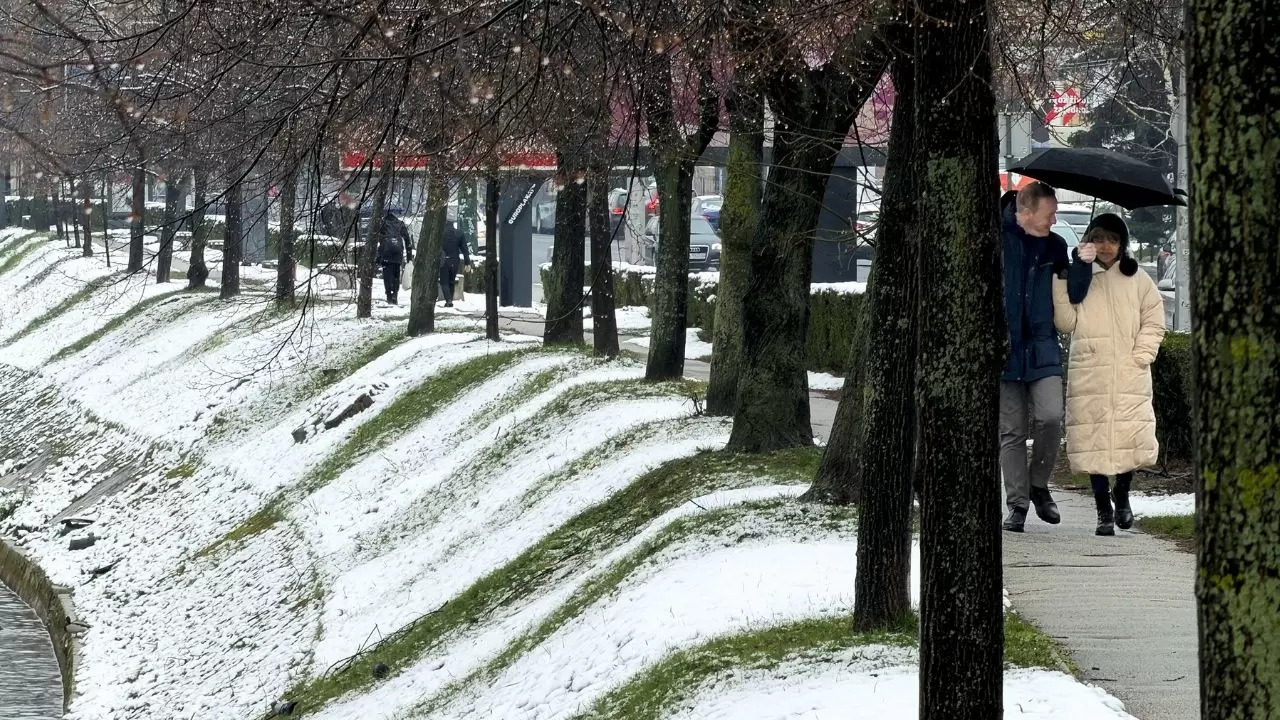 Çiçek açan ağaçlar beyaz örtüyle kaplandı! 10