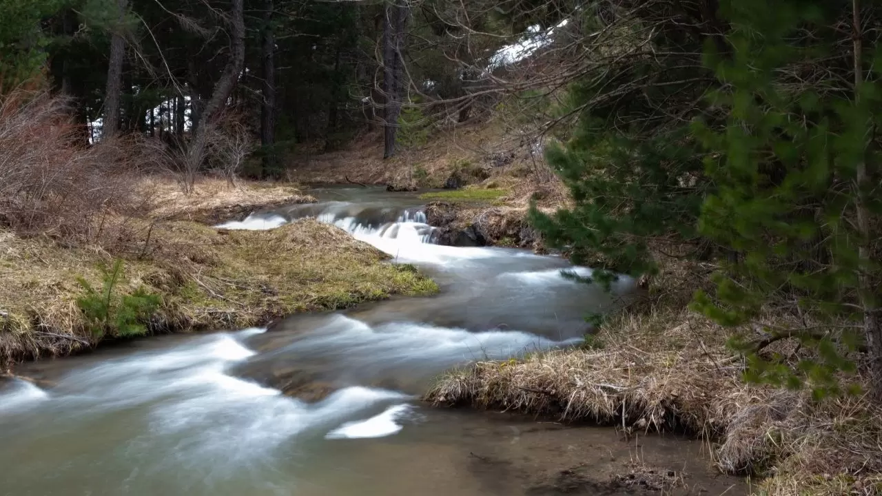 Kır çiçekleri doğayı kartpostala dönüştürdü 2