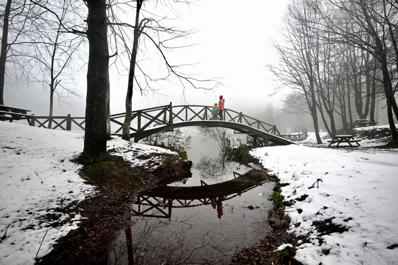 Düzce'de kar yağışı etkisini artırıyor: Yaylalar beyaza büründü! 6