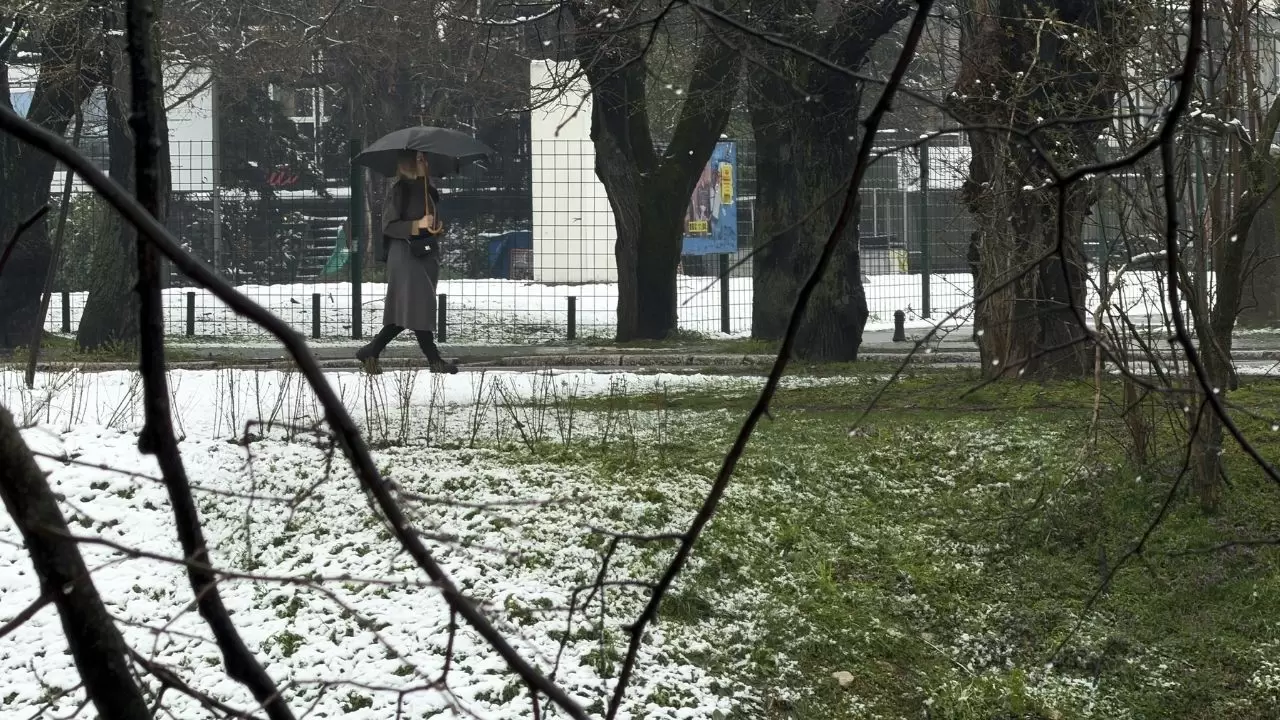 Çiçek açan ağaçlar beyaz örtüyle kaplandı! 14