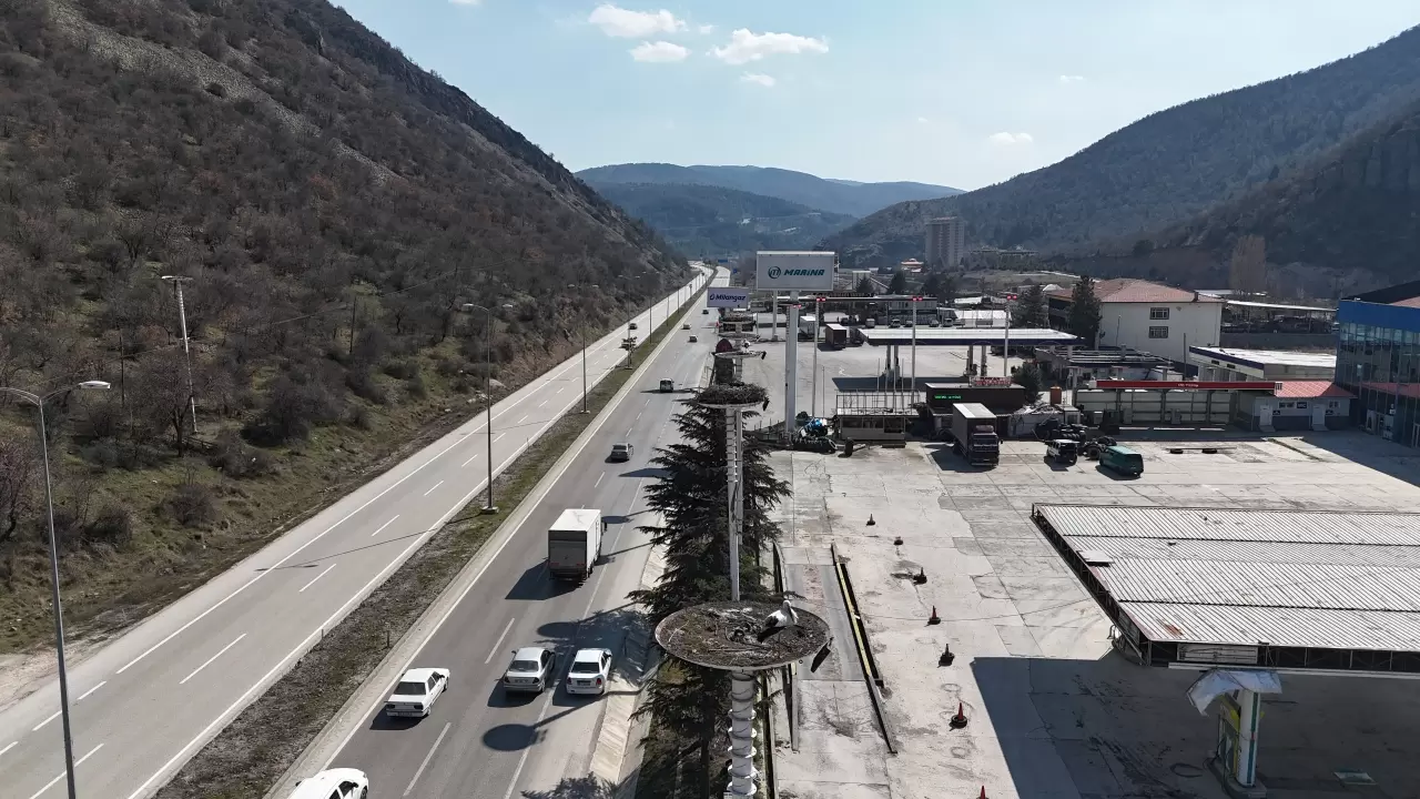 Baharın müjdecisi leylekler, uzun göç yolculuğunun ardından Kızılcahamam'da 3