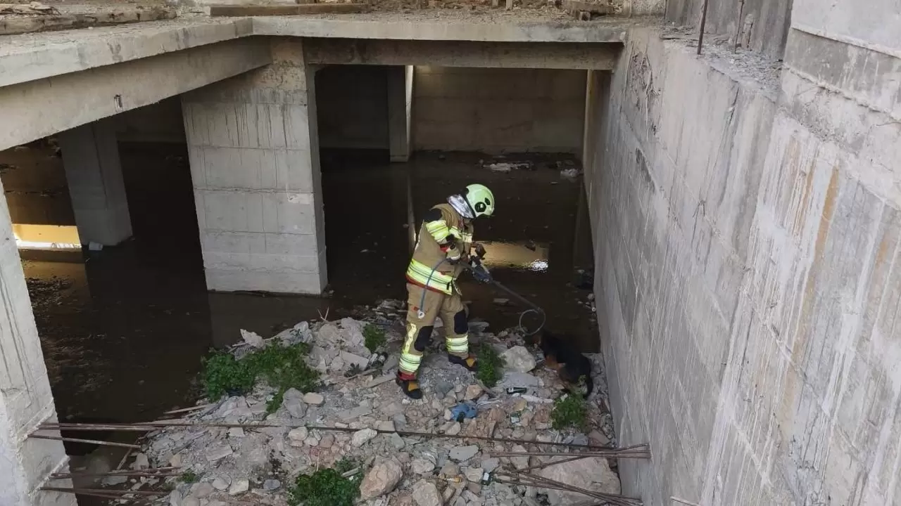 Kafası tenekeye sıkışan köpeğin yardımına koştular 4