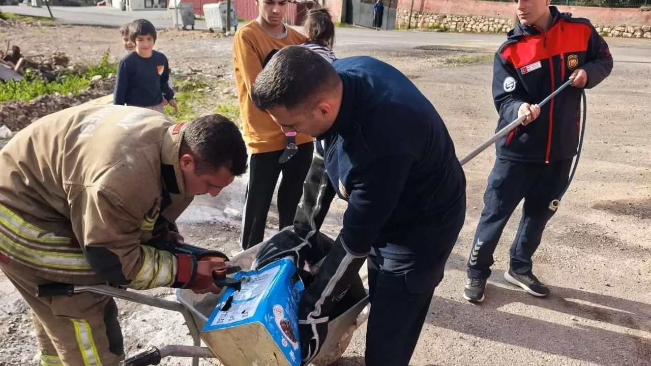 Kafası tenekeye sıkışan köpeğin yardımına koştular 2