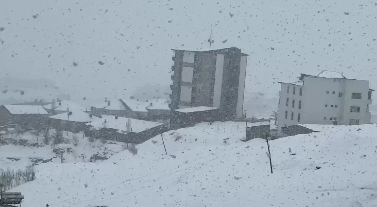 Yüksekova'ya kış geri geldi: Kar kalınlığı 20 santimi aştı 3
