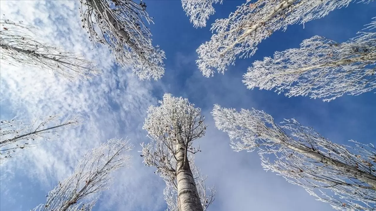 Marmara’da sis, Doğu Anadolu’da don ve çığ tehlikesi 9