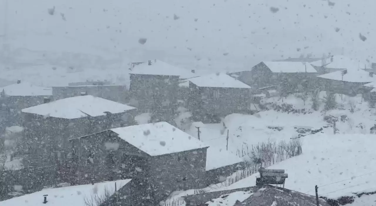 Yüksekova'ya kış geri geldi: Kar kalınlığı 20 santimi aştı 1