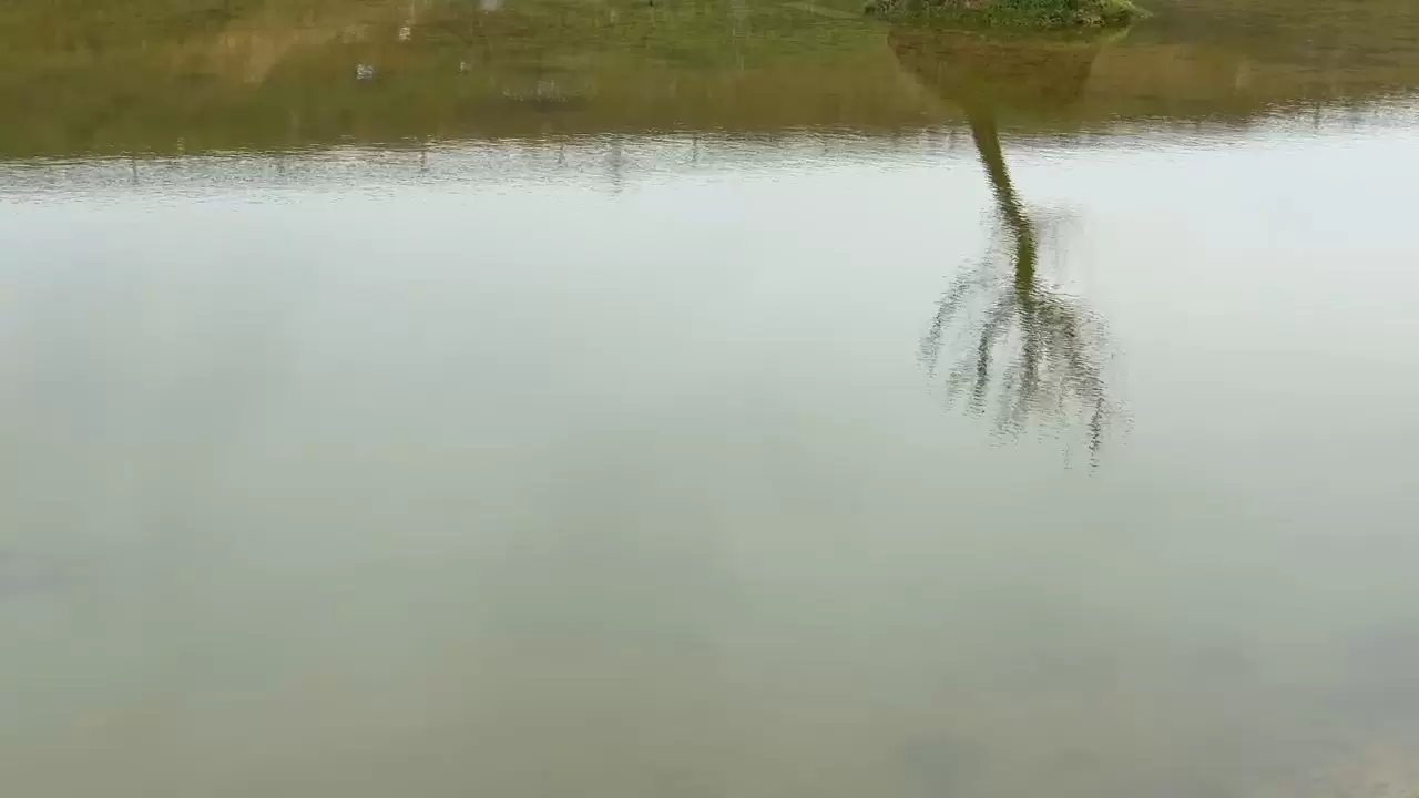 Çakıl Göleti, kuraklığın ardından yağışlarla eski günlerine dönüyor 2