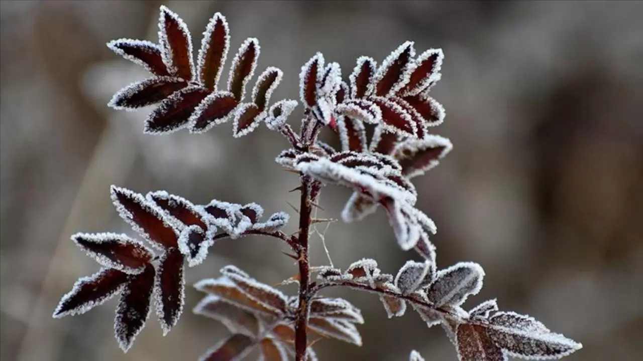 Marmara’da sis, Doğu Anadolu’da don ve çığ tehlikesi 8