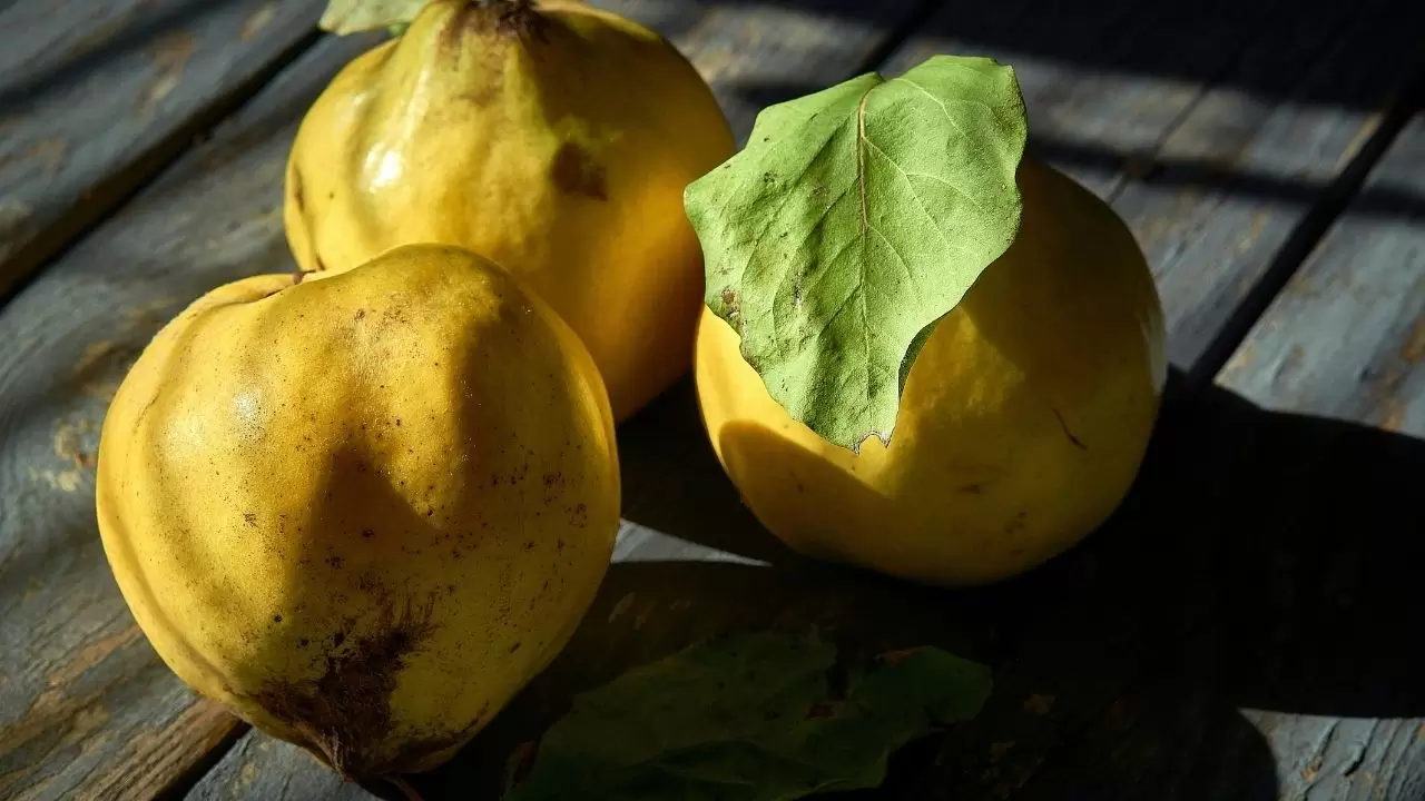 İşte karakterinizi yansıtan meyveler 6