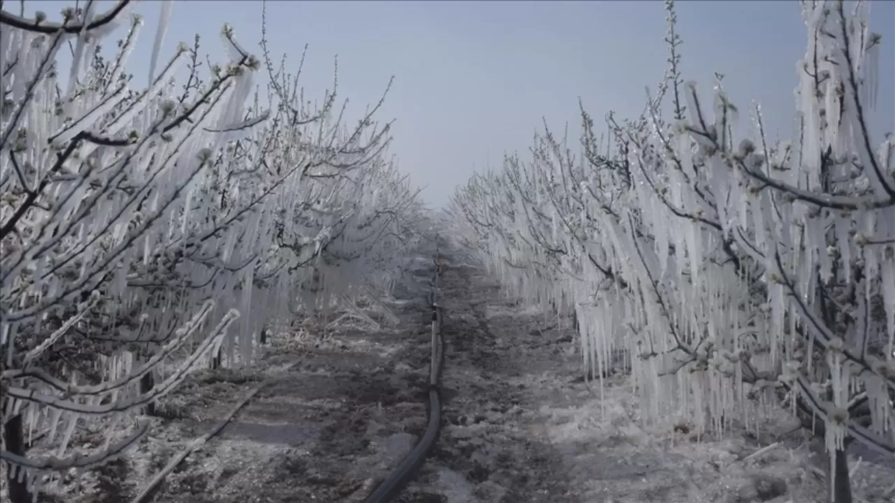 26 Mart 2026 hava durumu 7