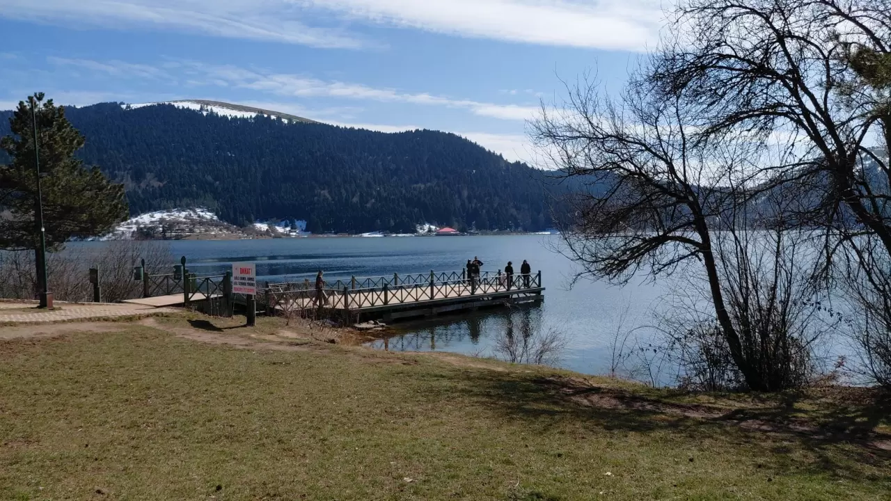 Abant Gölü'nde bahar müjdecisi çiğdem çiçekleri açtı! Doğa uyanıyor 1