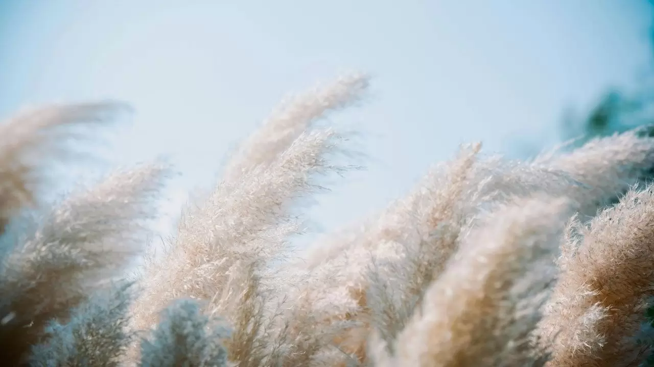 Türkiye geneli hava durumu raporu 1