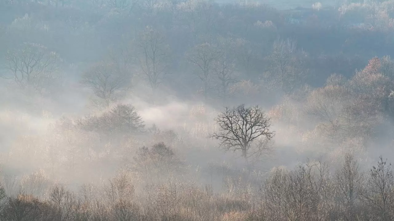 Hangi bölgede yağmur, nerede kar var? İşte il il hava durumu 2