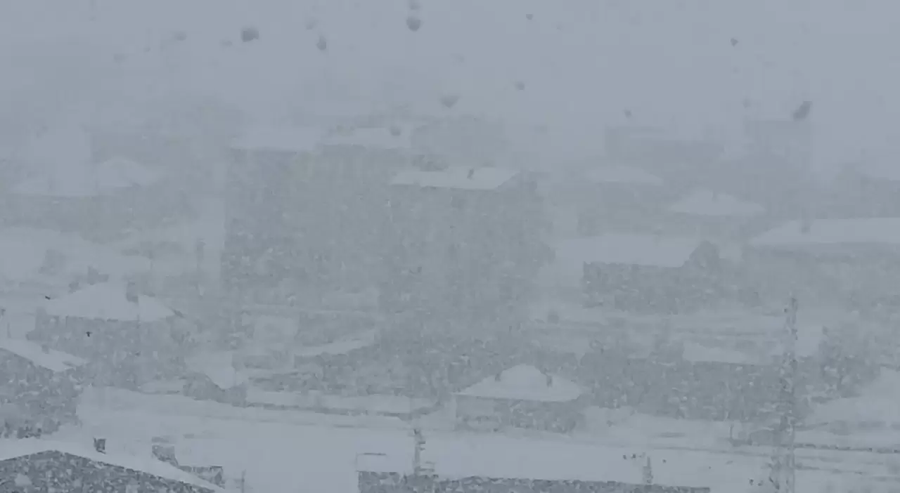 Yüksekova'ya kış geri geldi: Kar kalınlığı 20 santimi aştı 4