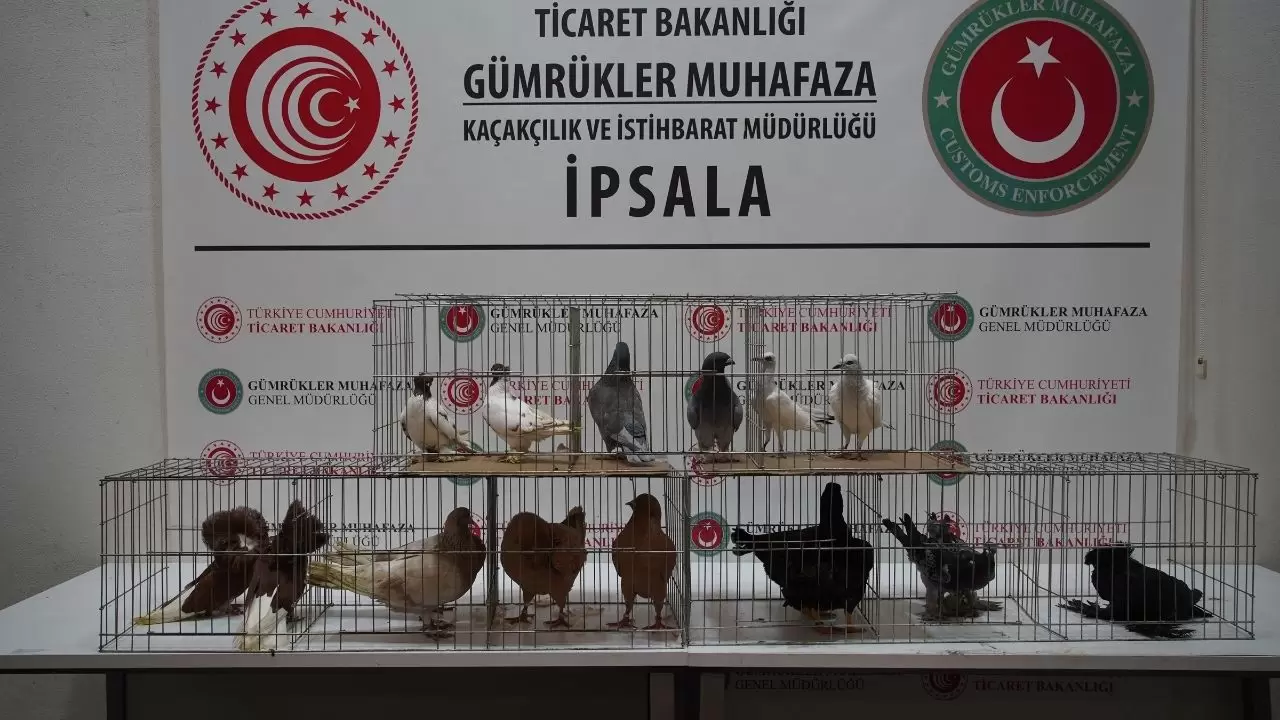 İpsala’da gümrük memurlarını bile şoke eden manzara! 1