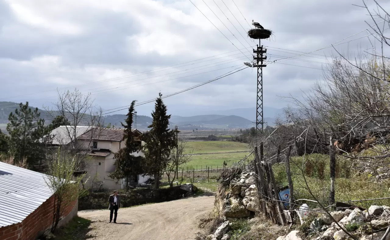 Saraydüzü'nde leylek şöleni: Cuma Ovası'na gelişler başladı 1