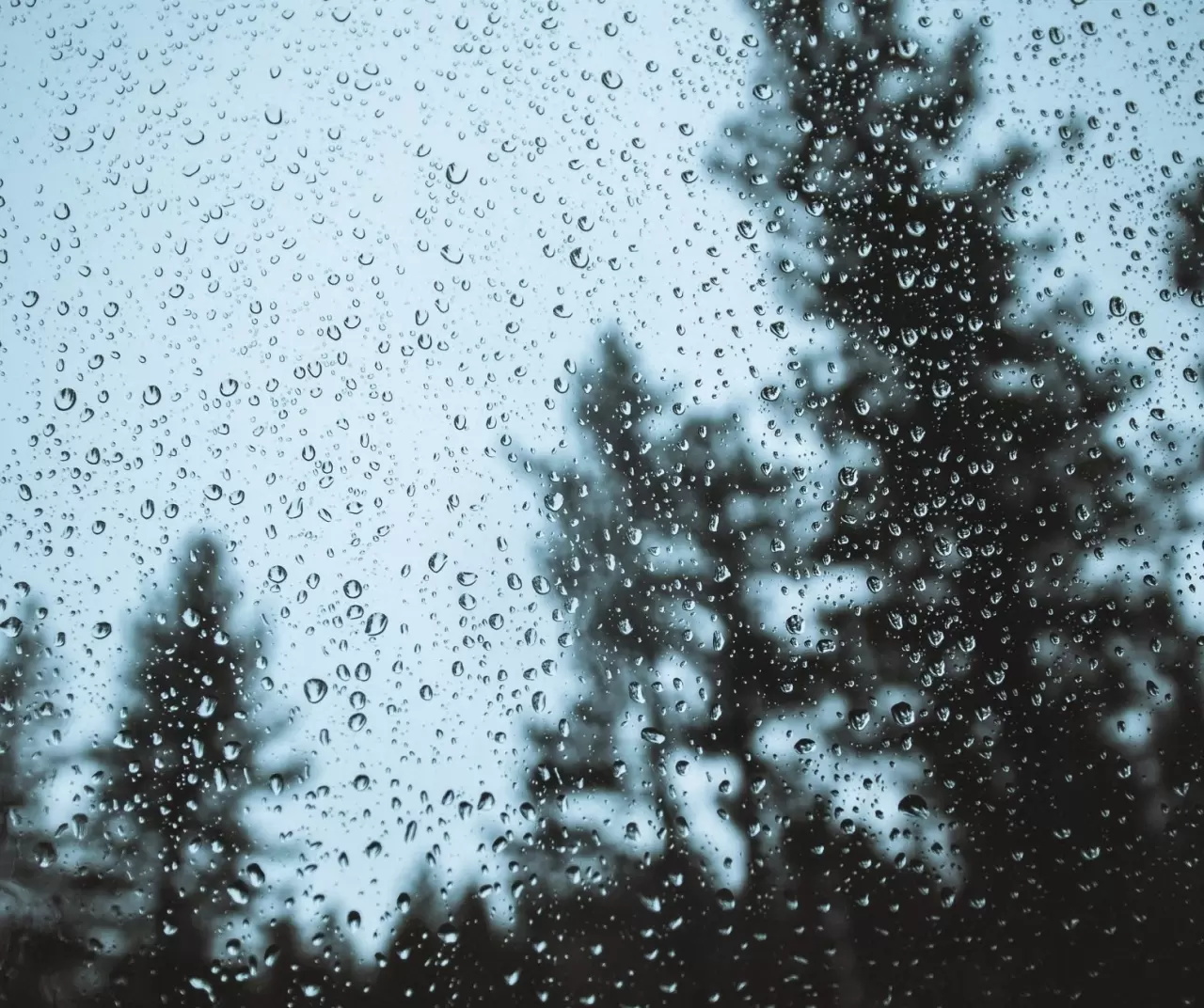 Başkentte kar, megakentte sis hakim 7