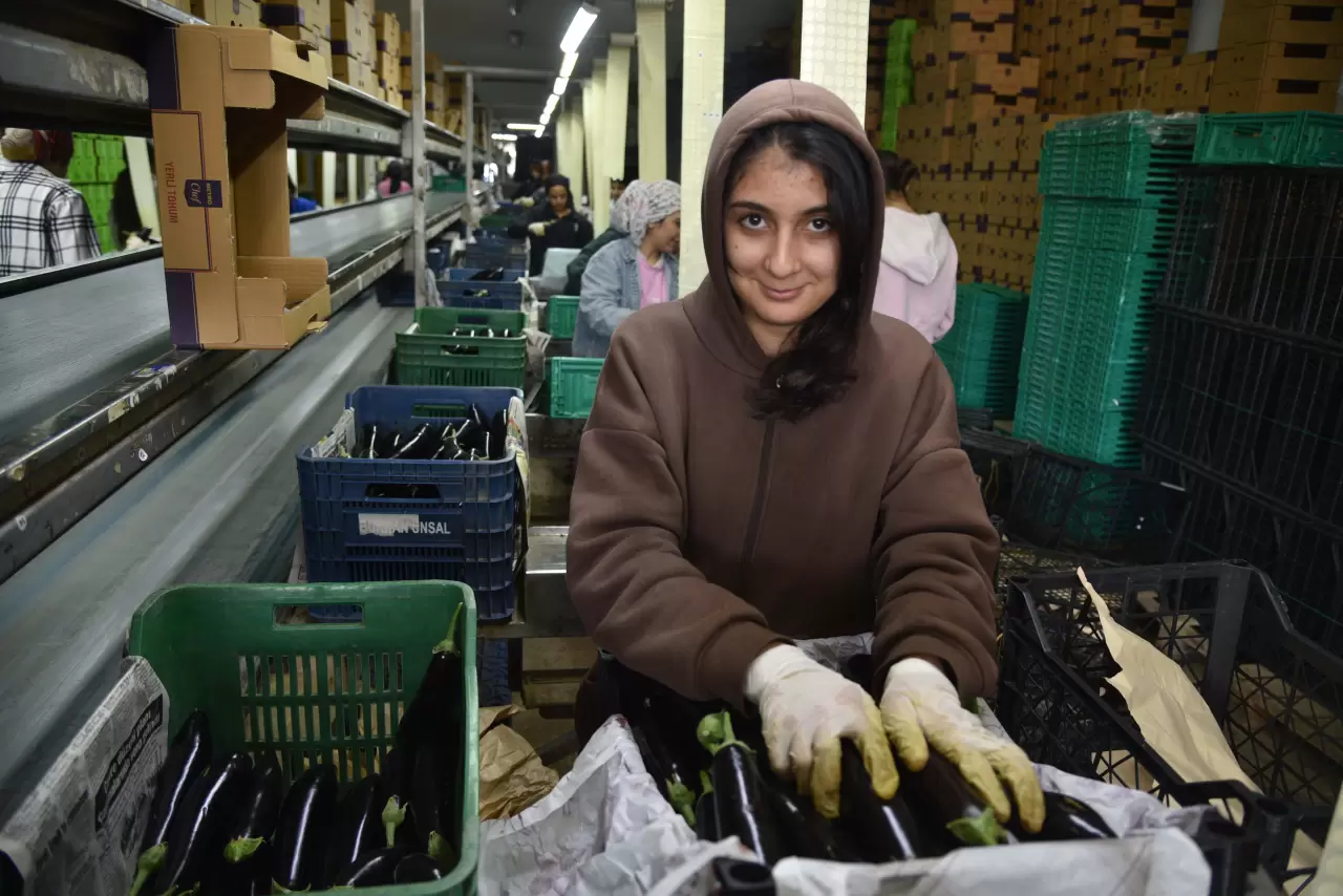Rusya'nın sebze rotası değişti! İran’daki kriz Türkiye ihracatını artırdı 1