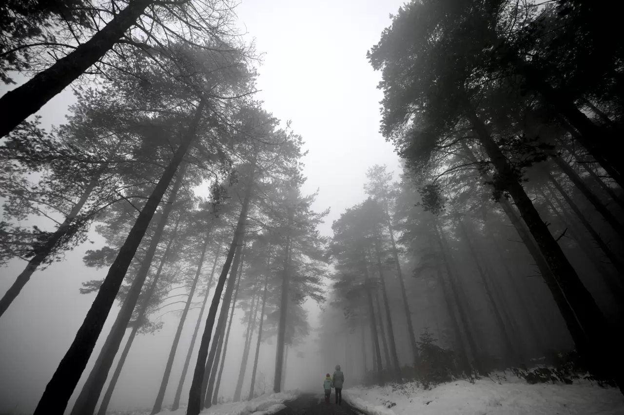 Düzce'de kar yağışı etkisini artırıyor: Yaylalar beyaza büründü! 2
