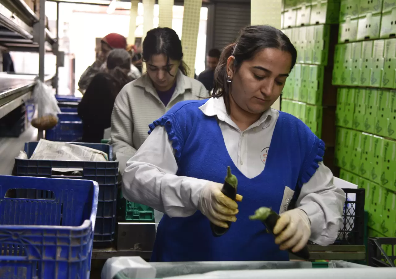 Rusya'nın sebze rotası değişti! İran’daki kriz Türkiye ihracatını artırdı 4
