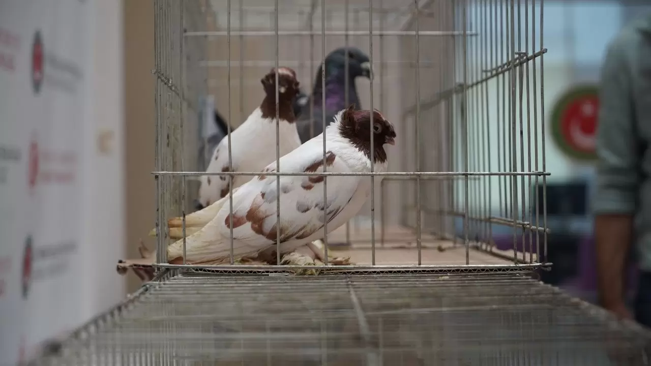 İpsala’da gümrük memurlarını bile şoke eden manzara! 4