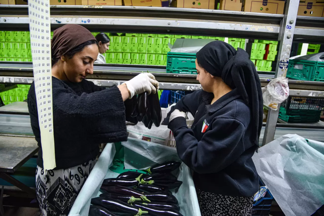 Rusya'nın sebze rotası değişti! İran’daki kriz Türkiye ihracatını artırdı 3