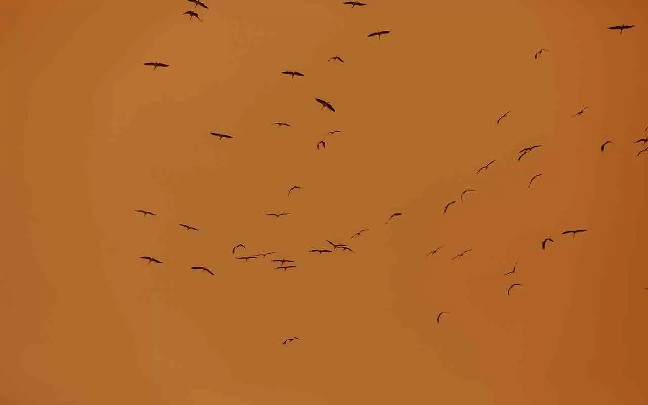 Gazze'yi bu kez de kum fırtınası vurdu! 2