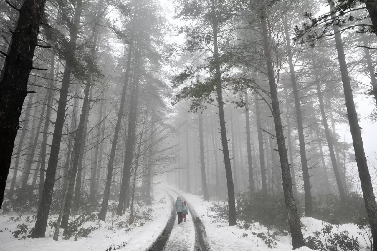 Düzce'de kar yağışı etkisini artırıyor: Yaylalar beyaza büründü! 4