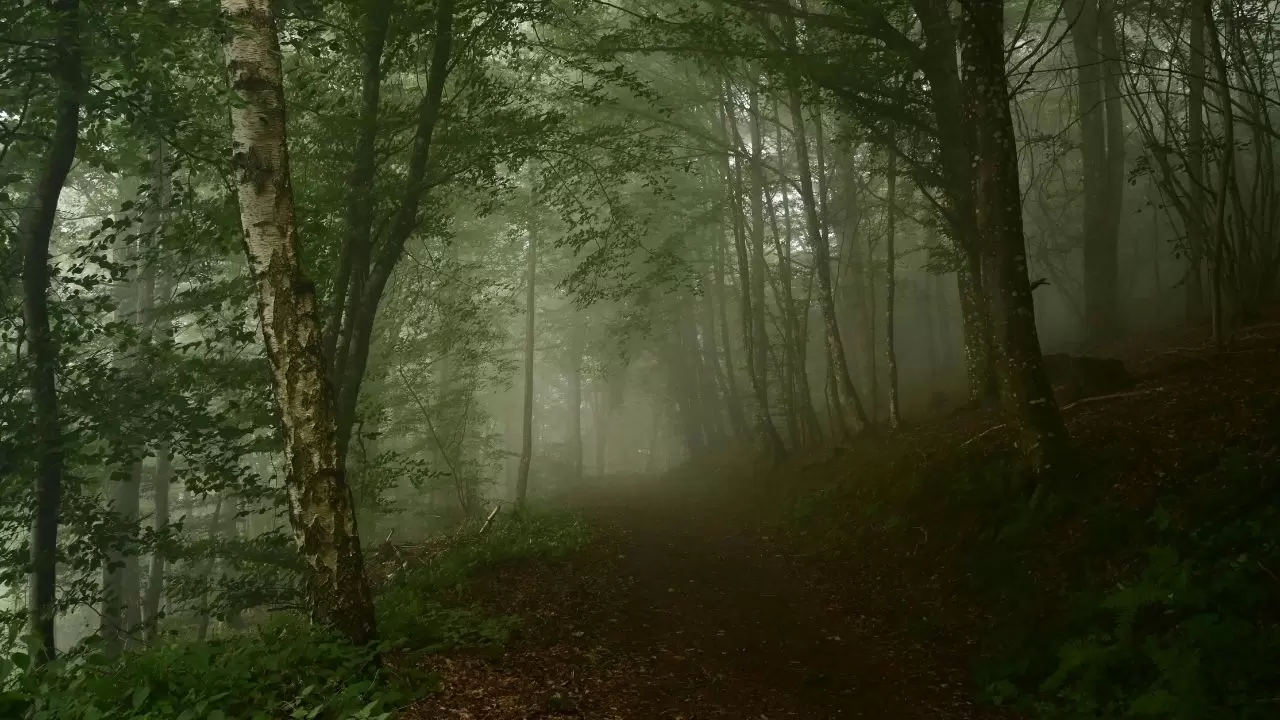 Hangi illerde sağanak yağış ve kar bekleniyor? 1