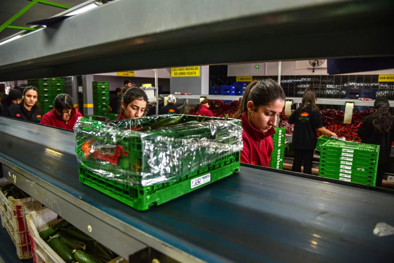 Rusya'nın sebze rotası değişti! İran’daki kriz Türkiye ihracatını artırdı 2