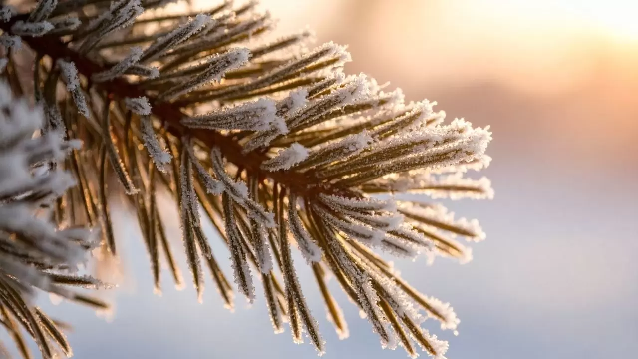 İşte bölge bölge son dakika tahminleri 8