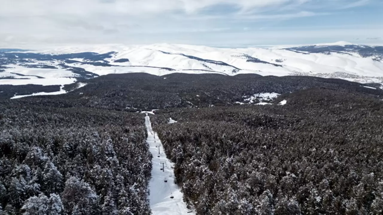 Kars'ta büyüleyen manzara! Sarıçam ormanları beyaza büründü 1