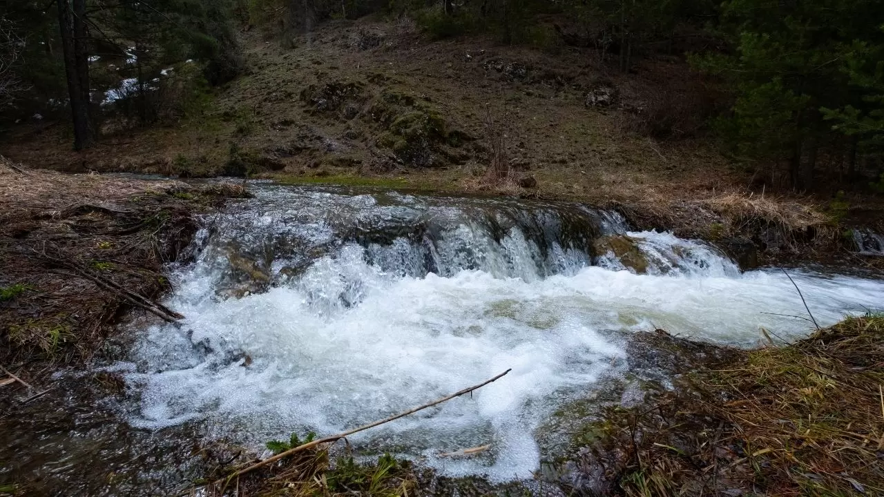 Kır çiçekleri doğayı kartpostala dönüştürdü 4