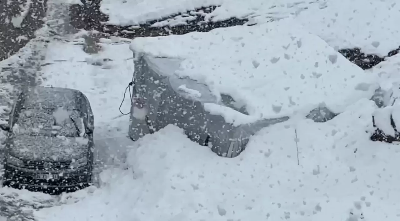 Yüksekova'ya kış geri geldi: Kar kalınlığı 20 santimi aştı 6