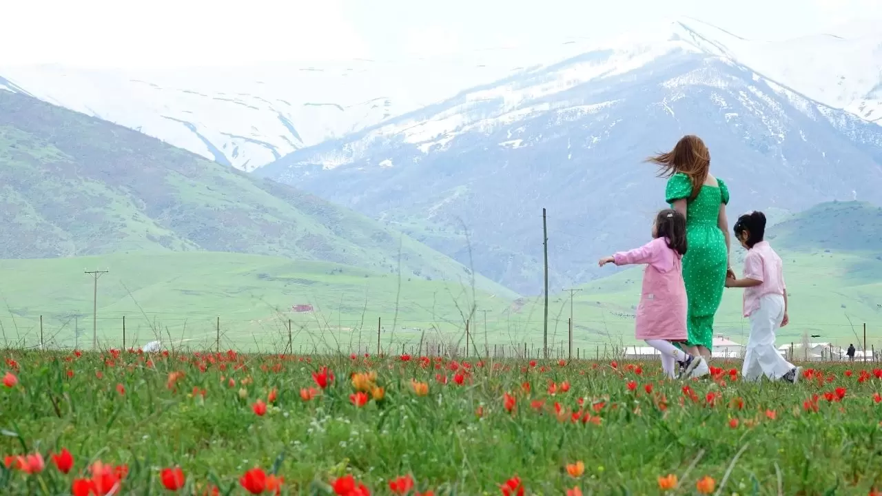 Muş Ovası kızıla boyandı! 'Muş 1071' laleleri açtı, görenler gözlerine inanamadı 7