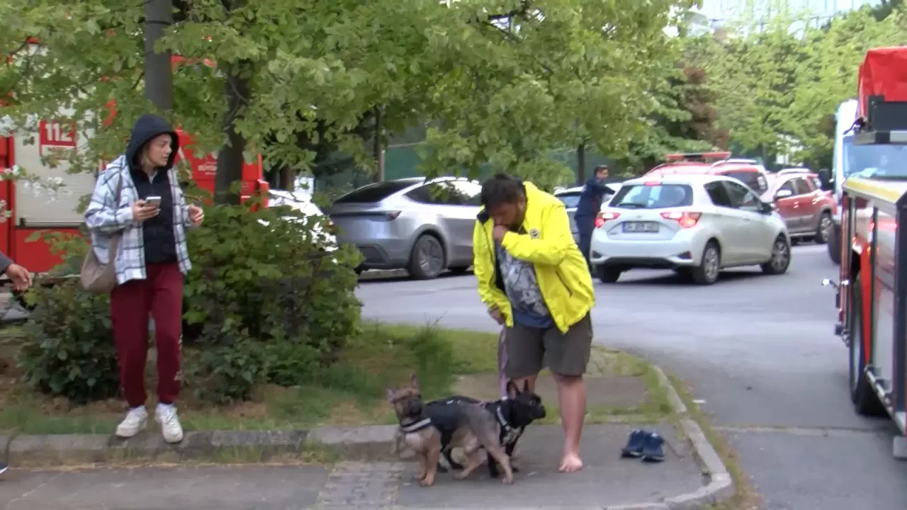 Engelli köpeğini kurtaramayan ev sahibinin acısı yürekleri dağladı! 4