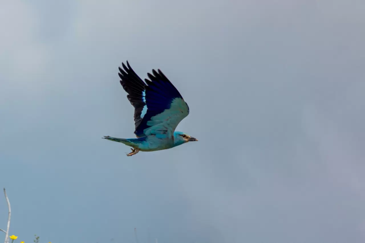 Masallar diyarından kopup gelmiş gibi! Gökkuzgunu Adıyaman'da görüntülendi 4