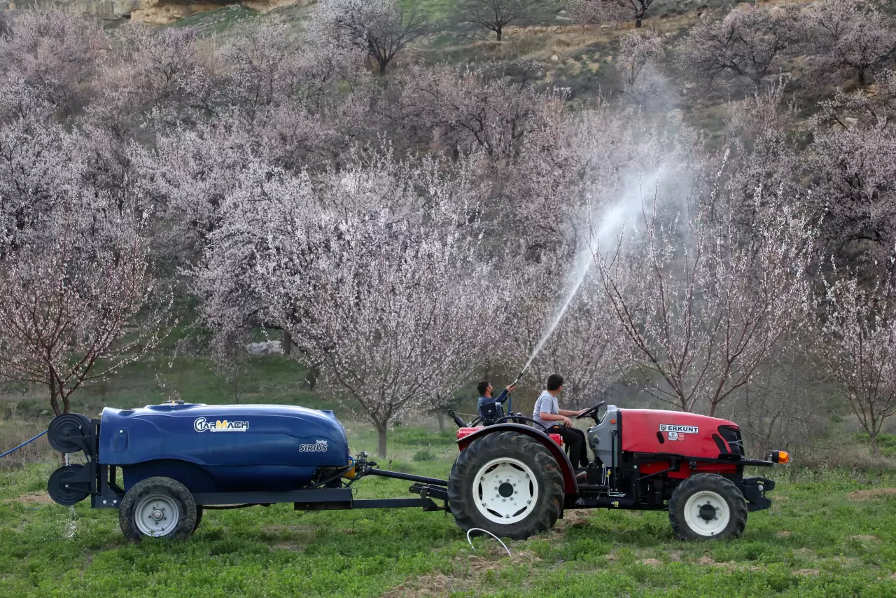 Malatya beyaza büründü: 2 milyon kayısı ağacı aynı anda çiçek açtı! 3