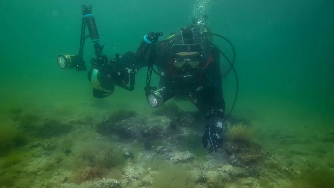 Tuzla sahilinde bilim dünyasını heyecanlandıran keşif! Sanayinin gölgesinde 'mucize' ekosistem 10